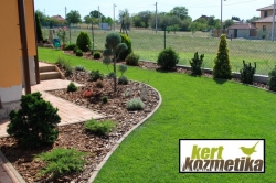 Íves örökzöld növényágyás (31)